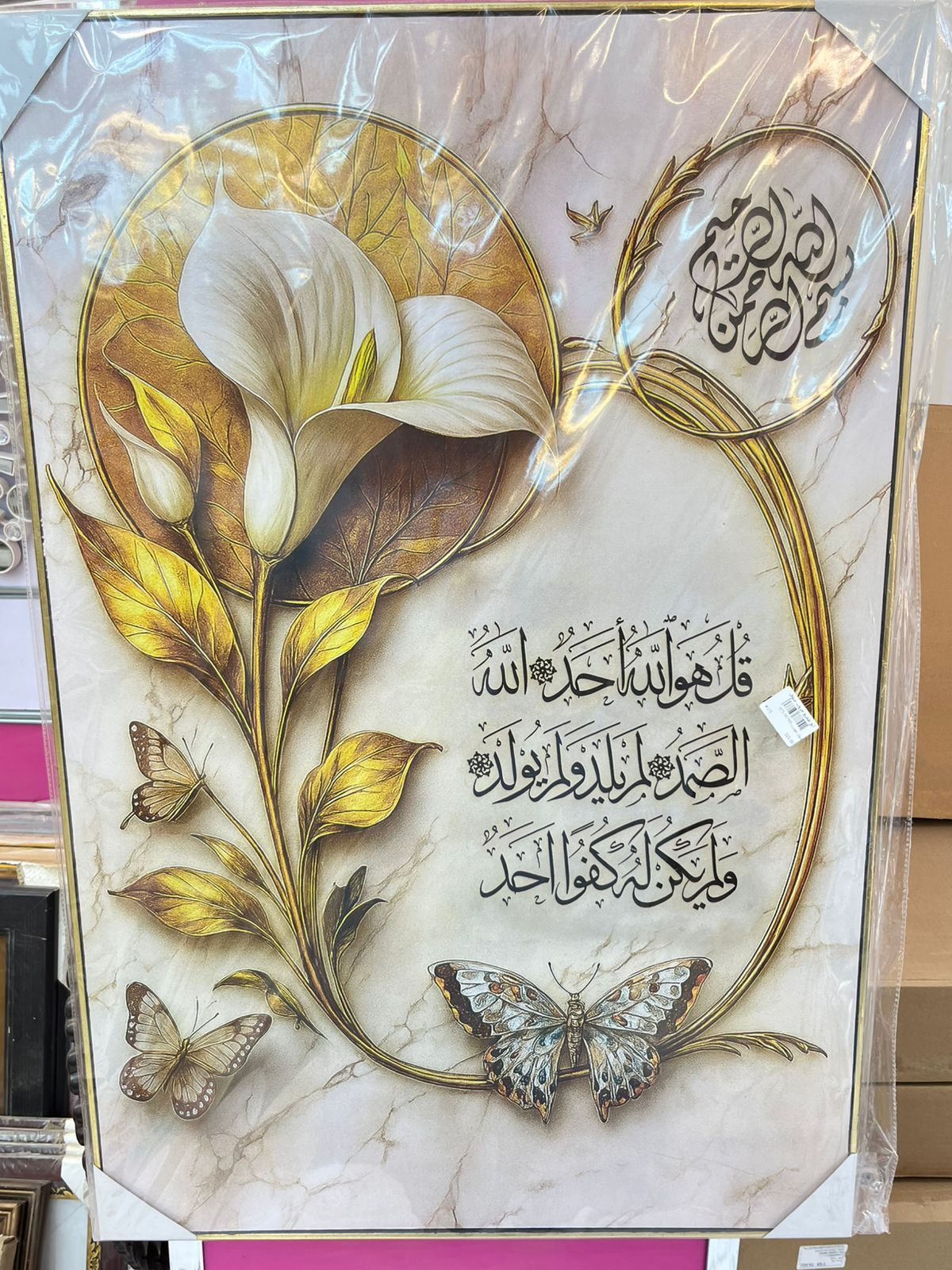 صورة 5