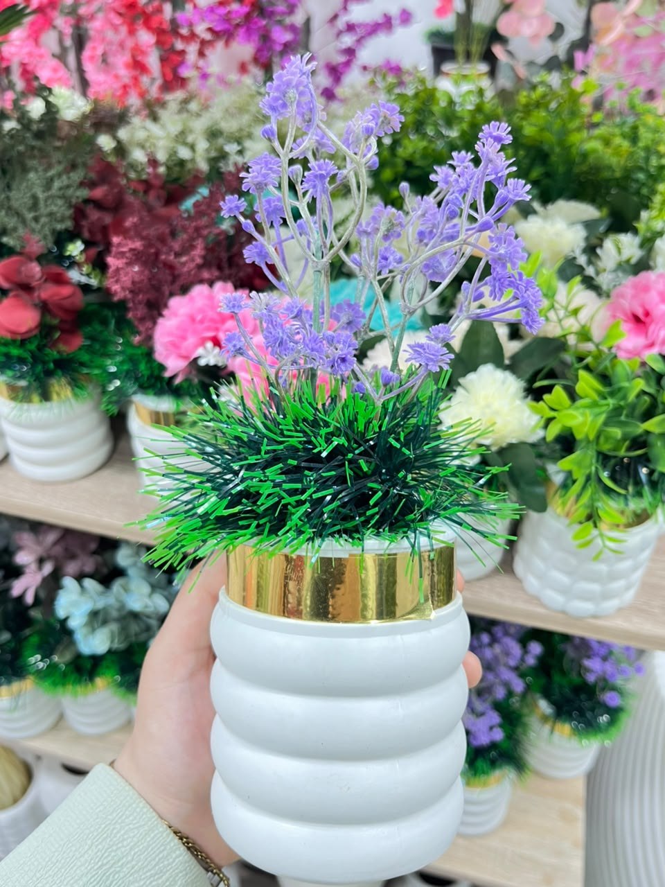 صورة 3