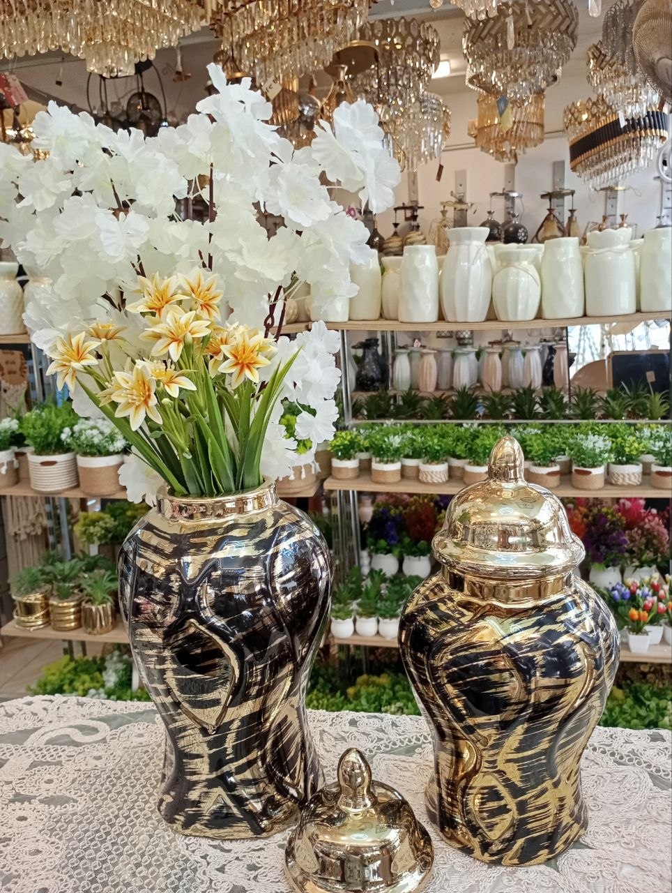 صورة 5