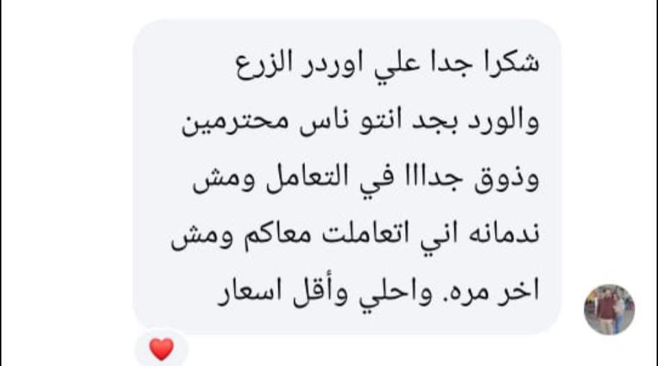 صورة رأي